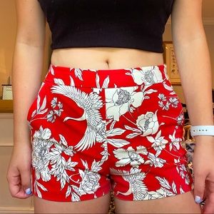 Express Professional Shorts